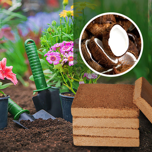 💥50%OFF🌱🌱 Výživná kokosová cihlová půda