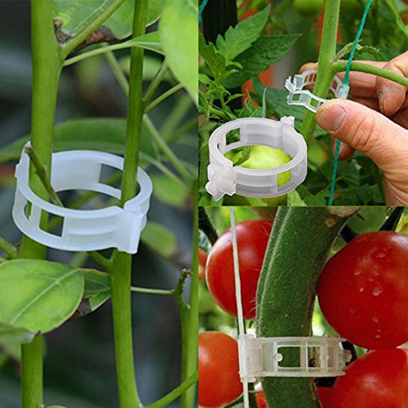 🍅🍅【200 kusů】🌱Upevňovací klip pro pěstování sazenic