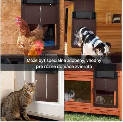 🚪 Automatické dvere kurníka so svetelným senzorom – vodotesné, bezpečné a ľahko sa inštalujú 🐔✨