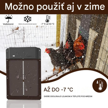🚪 Automatické dvere kurníka so svetelným senzorom – vodotesné, bezpečné a ľahko sa inštalujú 🐔✨