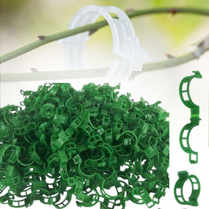 🌱【1 sada 200 🍅 21 eur】Pamätáte si na časy, keď vašu záhradu rozdrvilo ovocie? S týmito klipmi sa dá podoprieť všetko.