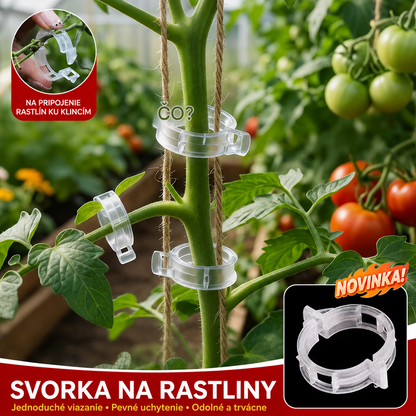 🌱【1 sada 200 🍅 21 eur】Pamätáte si na časy, keď vašu záhradu rozdrvilo ovocie? S týmito klipmi sa dá podoprieť všetko.