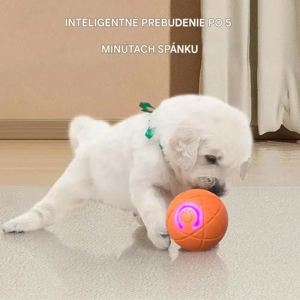 🎁【2 položky】Interaktívna loptička Smart Pet Bounce🐶